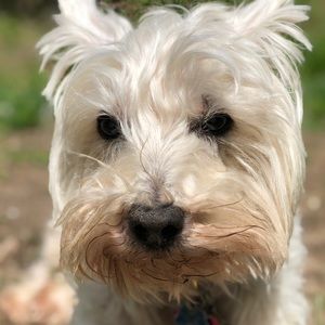 Meet your Posher, Annika